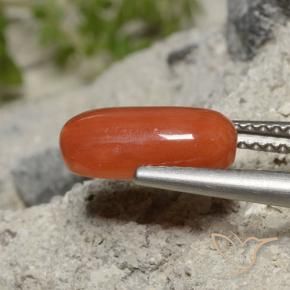 Corallo Rosso arancione naturale da 2.01 ct, Ovale, Opaco