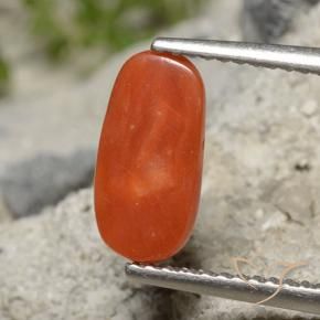 Corallo Rosso arancione naturale da 2.01 ct, Ovale, Opaco