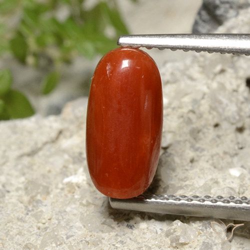 1.86ct Naturale Rosso fuoco Corallo, Ovale, Opaco