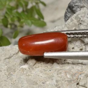 Corallo Rosso fuoco naturale da 1.86 ct, Ovale, Opaco