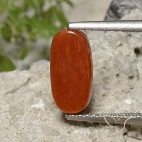 Corallo Rosso fuoco naturale da 1.86 ct, Ovale, Opaco