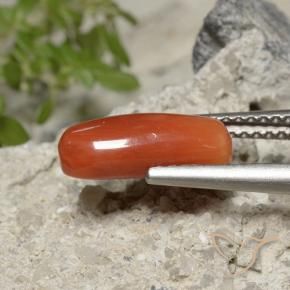 Corallo Arancia Fuoco naturale da 2.23 ct, Ovale, Opaco