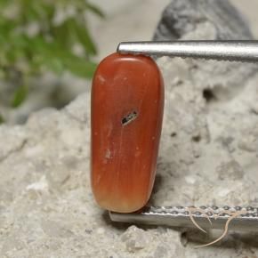 Corallo Arancia Fuoco naturale da 2.23 ct, Ovale, Opaco