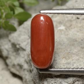 Corallo naturale rosso da 2,55 ct, taglio ovale, opaco