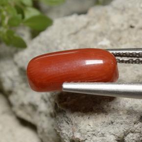 Corallo naturale rosso da 2,55 ct, taglio ovale, opaco