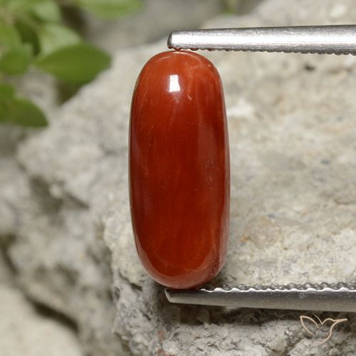 Corallo Rosso fuoco naturale da 2.07 ct, Taglio ovale, Opaco