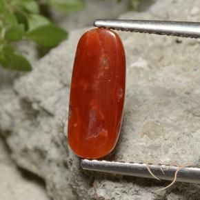 Corallo Rosso fuoco naturale da 2.07 ct, Taglio ovale, Opaco