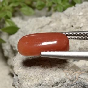 Corallo Arancia Fuoco naturale da 2.26 ct, Ovale, Opaco