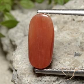 Corallo Arancia Fuoco naturale da 2.26 ct, Ovale, Opaco