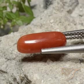 Corallo Arancio Medio naturale da 2.15 ct, Ovale, Opaco