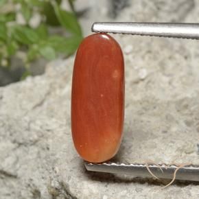 Corallo Arancio Medio naturale da 2.15 ct, Ovale, Opaco