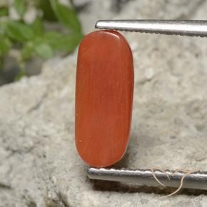 Corallo Arancia Fuoco naturale da 1.90 ct, Ovale, Opaco