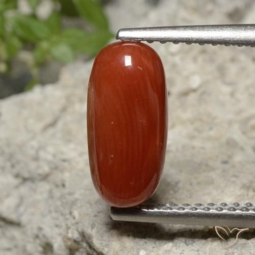1.95ct Naturale Tono rosso fuoco Corallo, Ovale, Opaco