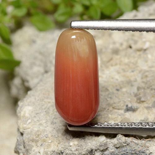2.78ct Naturale Arancia Fuoco Corallo, Ovale, Opaco