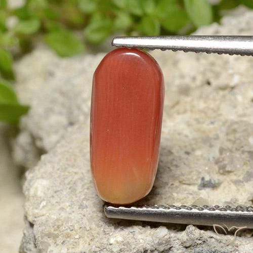 Corallo Arancia Fuoco naturale da 2.78 ct, Ovale, Opaco
