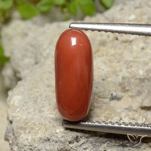 2.10ct Naturale Arancio Medio Corallo, Ovale, Opaco
