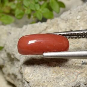 Corallo Arancio Medio naturale da 2.10 ct, Ovale, Opaco