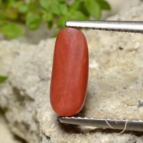 Corallo Arancio Medio naturale da 2.10 ct, Ovale, Opaco