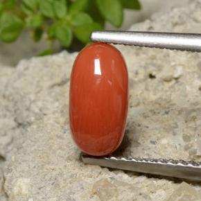 Corallo naturale arancione da 1,40 ct, taglio ovale, opaco