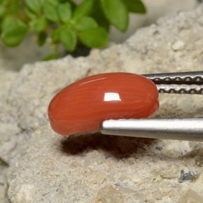 Corallo naturale arancione da 1,40 ct, taglio ovale, opaco