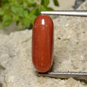 Corallo Rosso arancione naturale da 2.47 ct, Taglio ovale, Opaco
