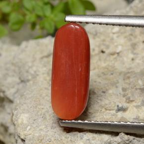 Corallo Rosso arancione naturale da 2.47 ct, Taglio ovale, Opaco