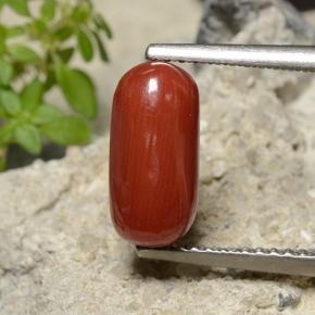 Corallo naturale rosso da 2,51 ct, taglio ovale, opaco