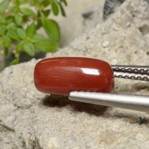 Corallo naturale rosso da 2,51 ct, taglio ovale, opaco