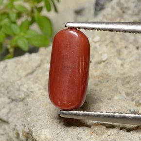 Corallo naturale rosso da 2,51 ct, taglio ovale, opaco