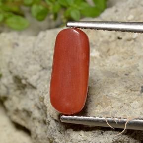 Corallo Rosso arancione naturale da 2.06 ct, Ovale, Opaco