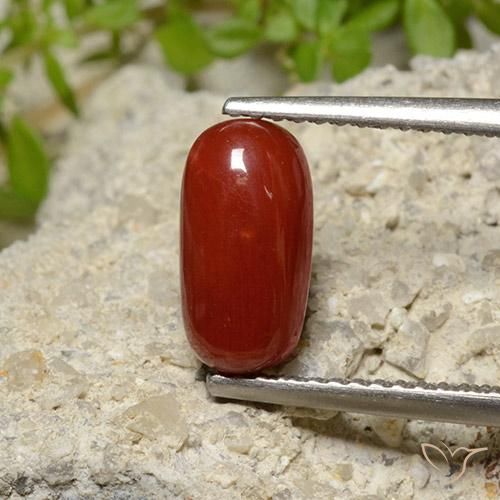 2.06ct Naturale Rosso fuoco Corallo, Ovale, Opaco