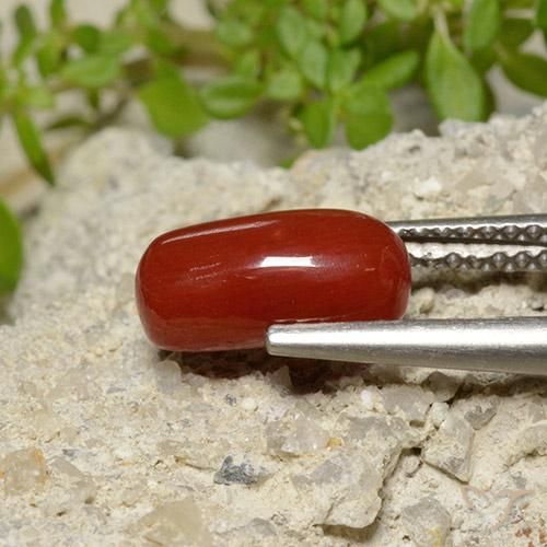 Corallo Rosso fuoco naturale da 2.06 ct, Ovale, Opaco