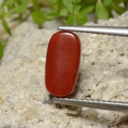 Corallo Rosso fuoco naturale da 2.06 ct, Ovale, Opaco