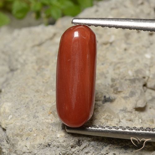 2.26ct Naturale Rosso medio Corallo, Ovale, Opaco