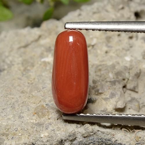1.79ct Naturale Rosso arancione Corallo, Ovale, Opaco