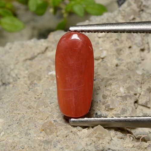 Corallo Rosso arancione naturale da 1.79 ct, Ovale, Opaco