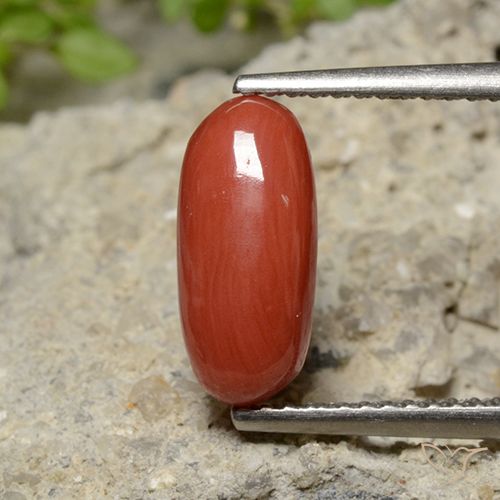 2.04ct Naturale Rosso medio Corallo, Ovale, Opaco