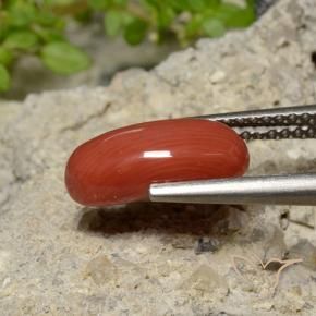 Corallo Rosso medio naturale da 2.04 ct, Ovale, Opaco