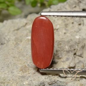 Corallo Rosso medio naturale da 2.04 ct, Ovale, Opaco