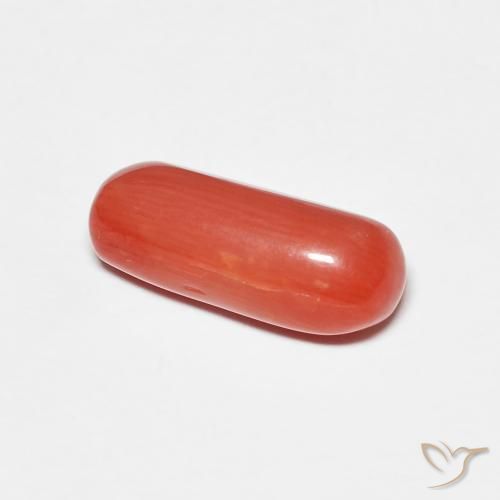 Corallo Rosso arancione naturale da 2.25 ct, Ovale, Opaco
