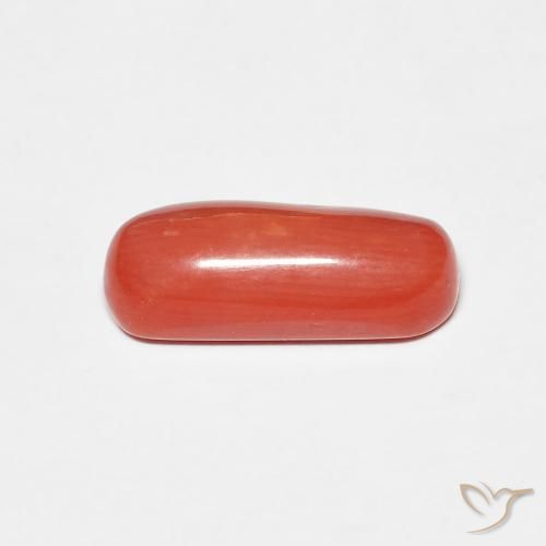 Corallo Rosso arancione naturale da 2.25 ct, Ovale, Opaco