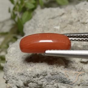 Corallo Rosso chiaro naturale da 2.11 ct, Ovale, Opaco