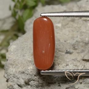 Corallo Rosso chiaro naturale da 2.11 ct, Ovale, Opaco