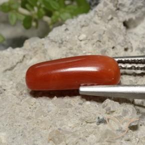 Corallo Rosso medio naturale da 2.13 ct, Ovale, Opaco