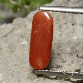 Corallo Rosso medio naturale da 2.13 ct, Ovale, Opaco