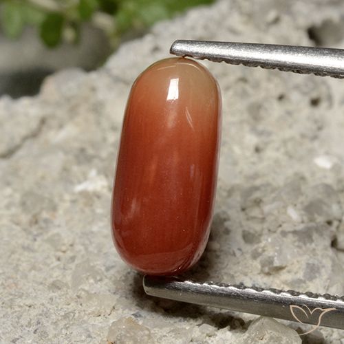 1.69ct Naturale Rosso medio Corallo, Ovale, Opaco