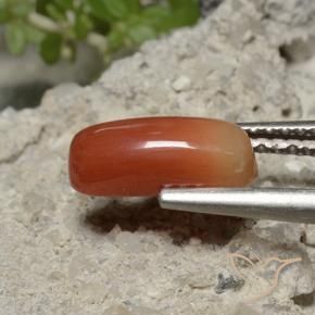 Corallo Rosso medio naturale da 1.69 ct, Ovale, Opaco