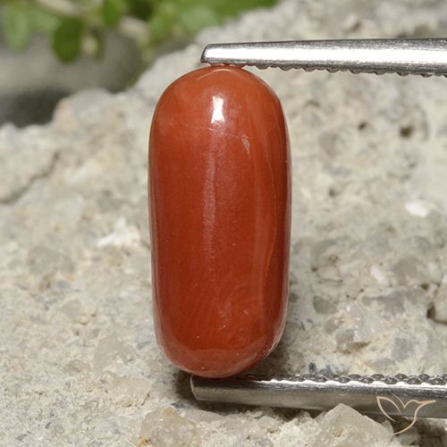 2.26ct Naturale Rosso medio Corallo, Ovale, Opaco