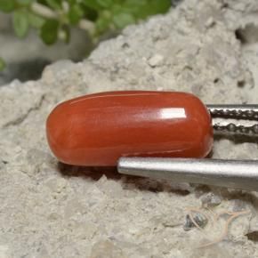 Corallo Rosso medio naturale da 2.26 ct, Ovale, Opaco