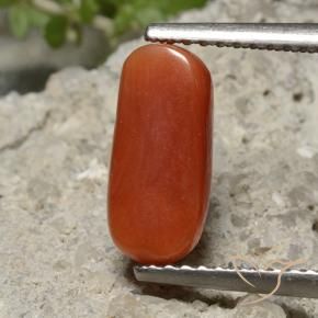 Corallo Rosso medio naturale da 2.26 ct, Ovale, Opaco